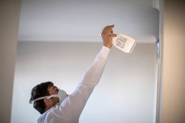 Best Attic Mold Removal  in Wisr, NE