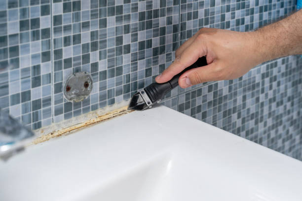 Certified Mold Removal in Wisner, NE